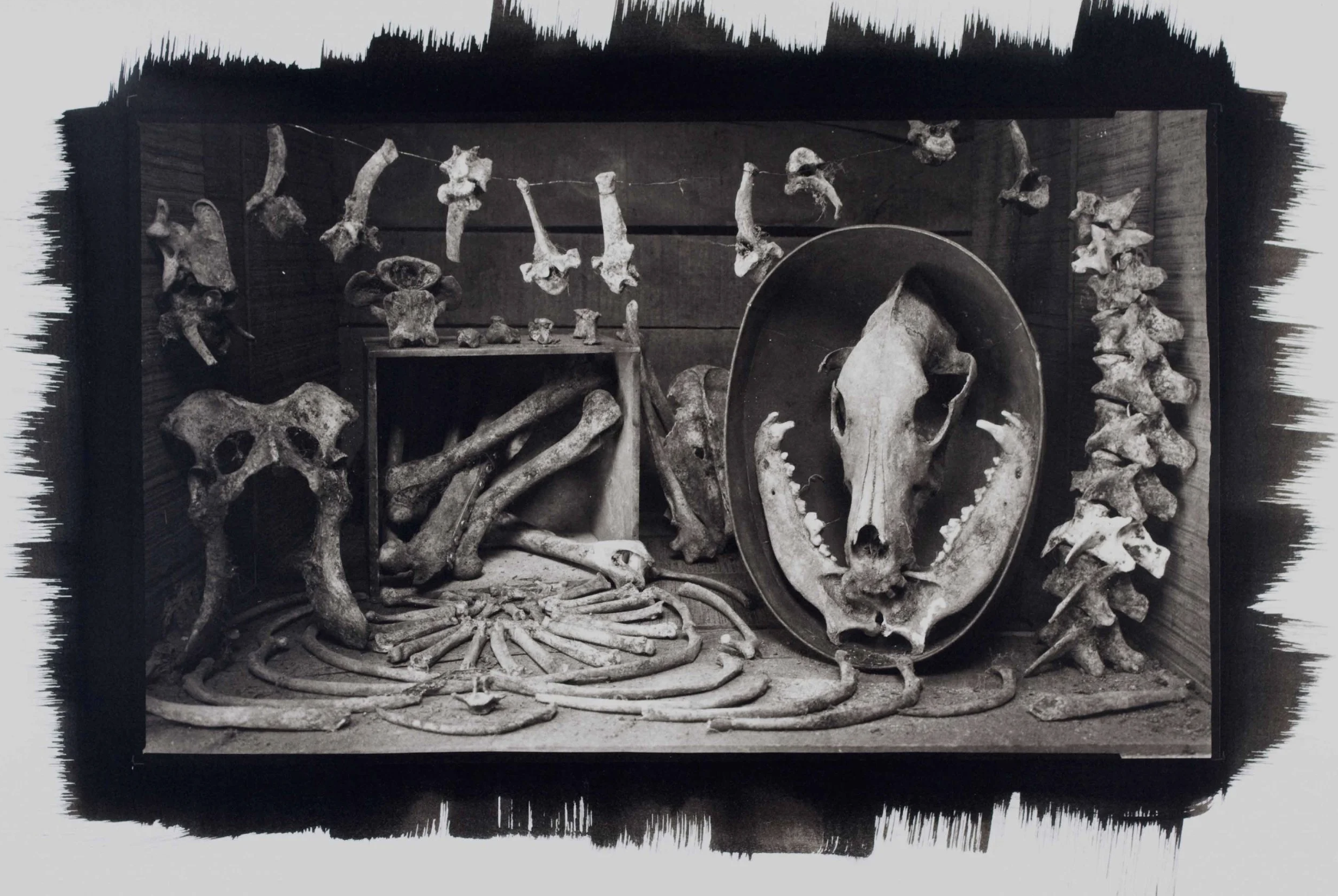 Virtual Exhibition: Bruce Katsiff: Pieces Of A Life