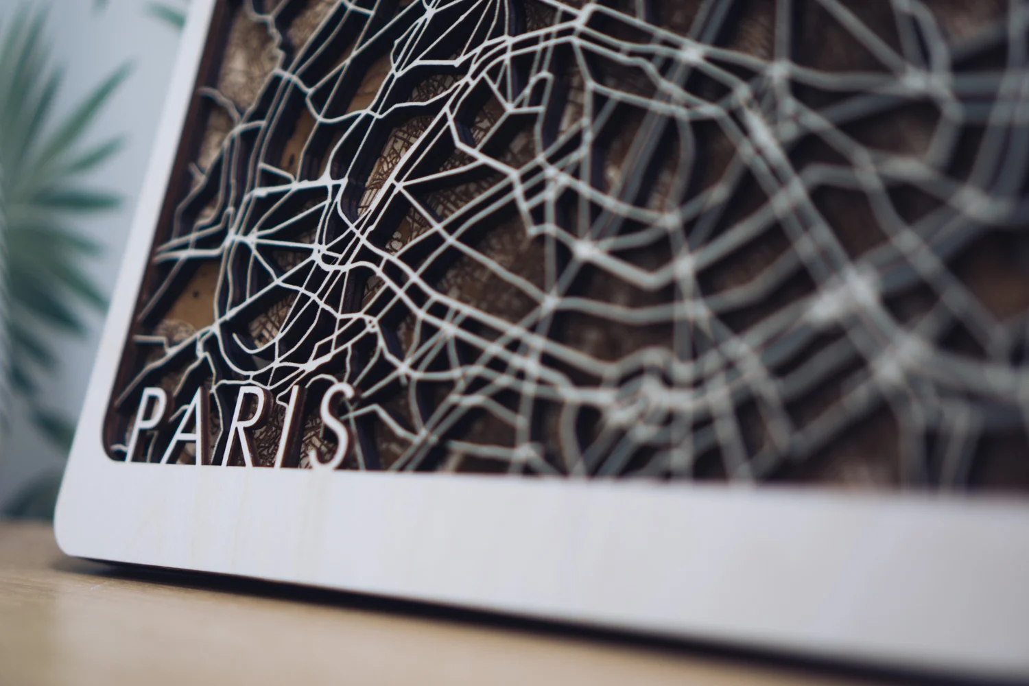 Paris Laser Cut Map (8 of 11).jpg