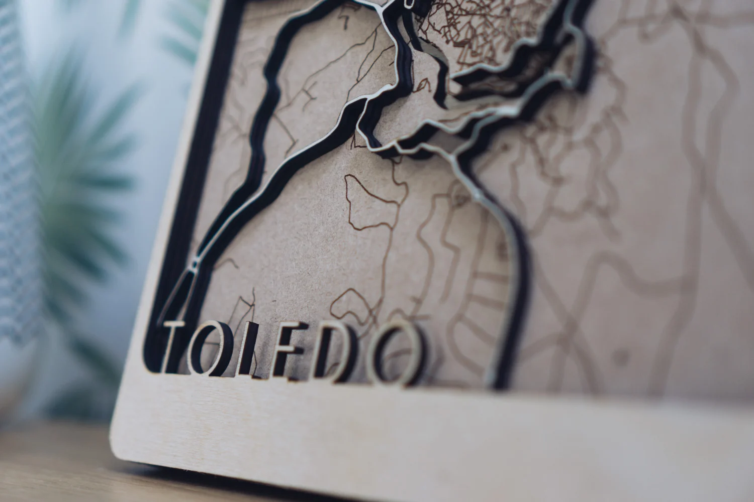 Toledo Laser Cut Map (3 of 8).jpg