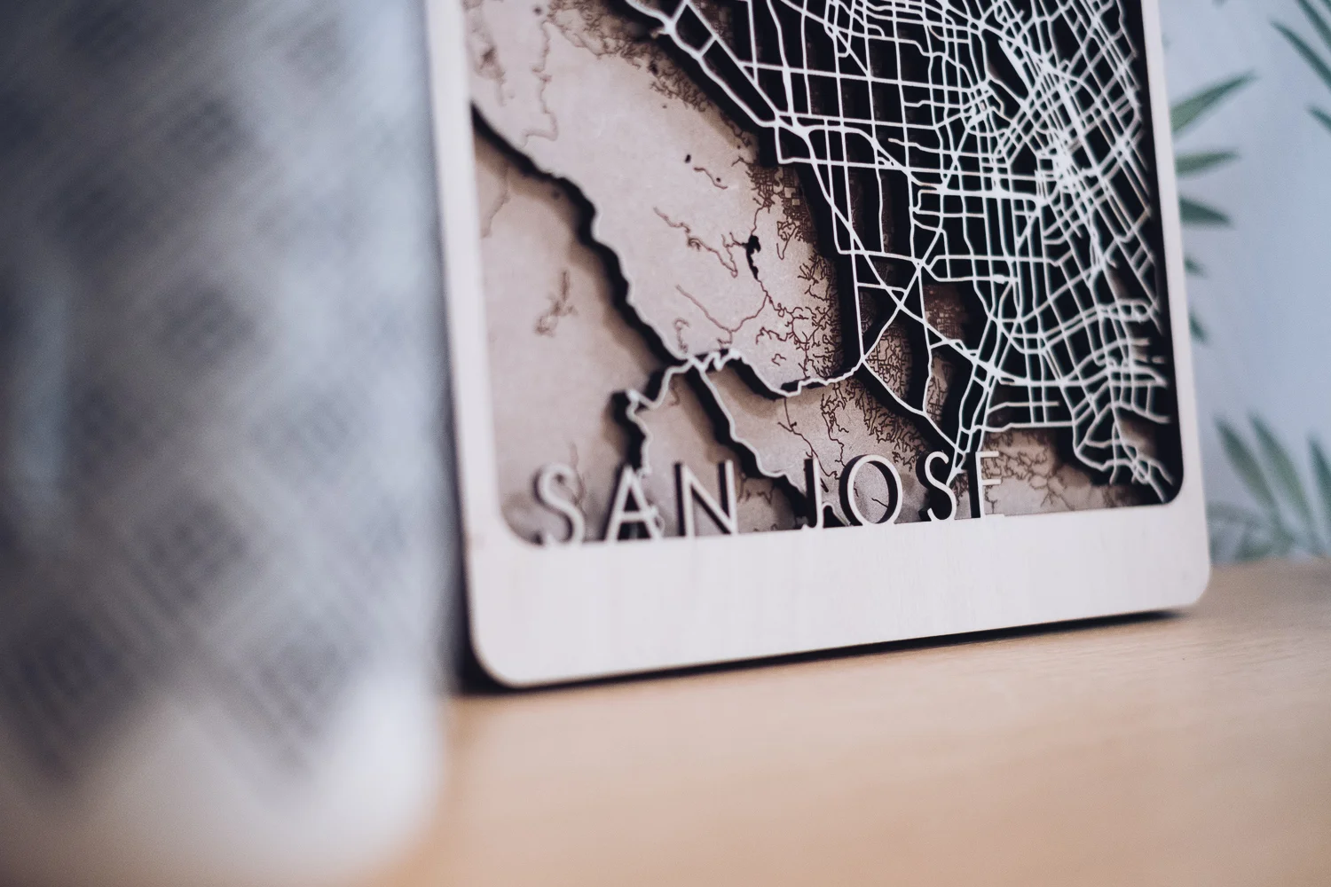 San Jose Laser Cut Map2.jpg