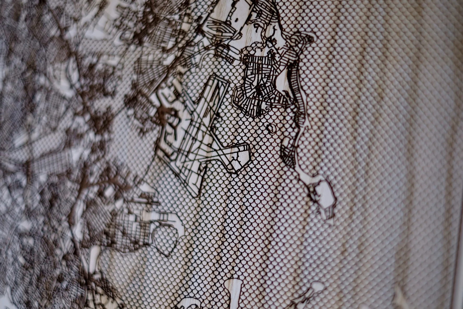 Single Layer2.jpg