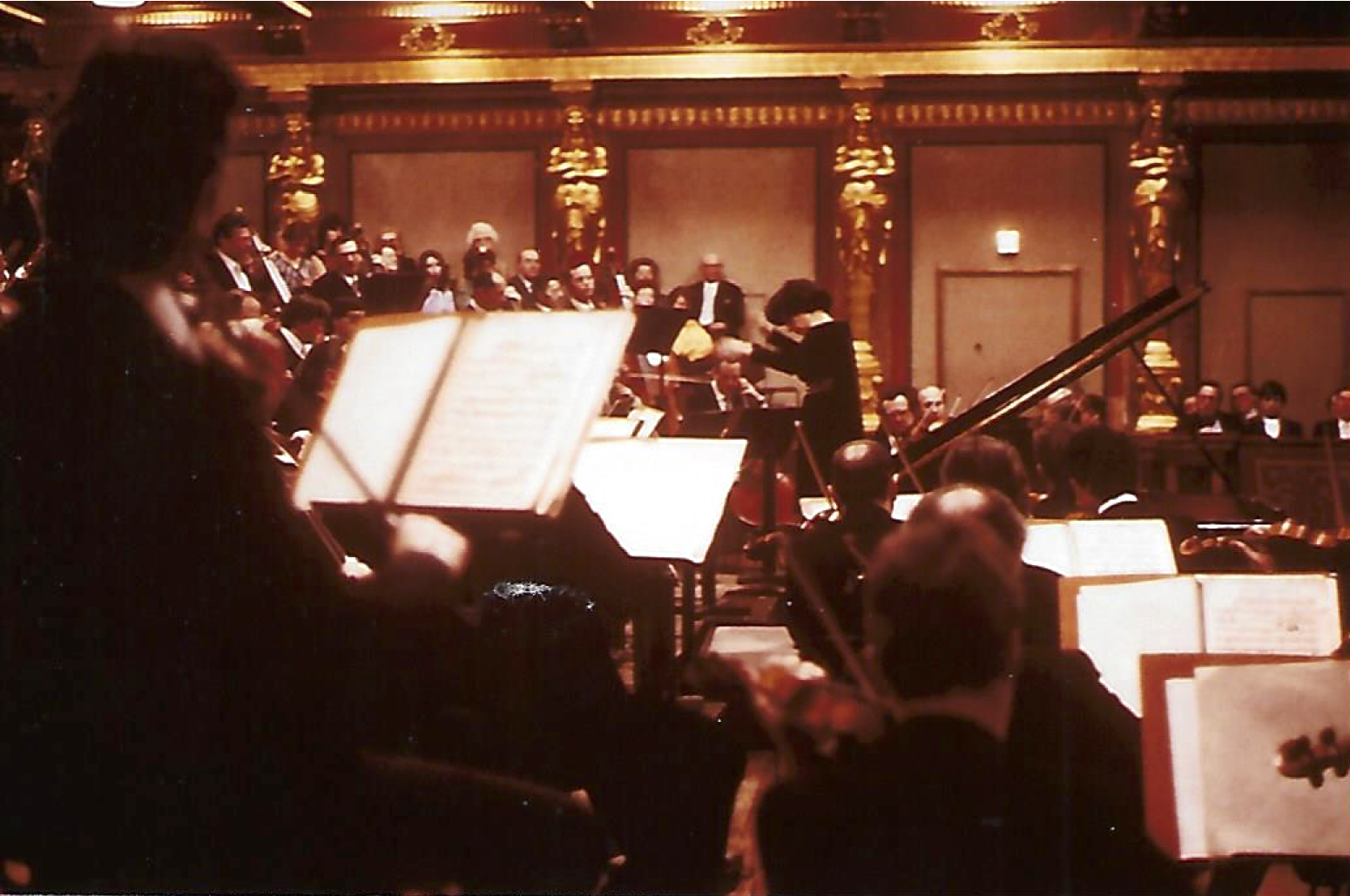 Tonkünstler Orchester at Grosser Musikvereinsaal, Vienna