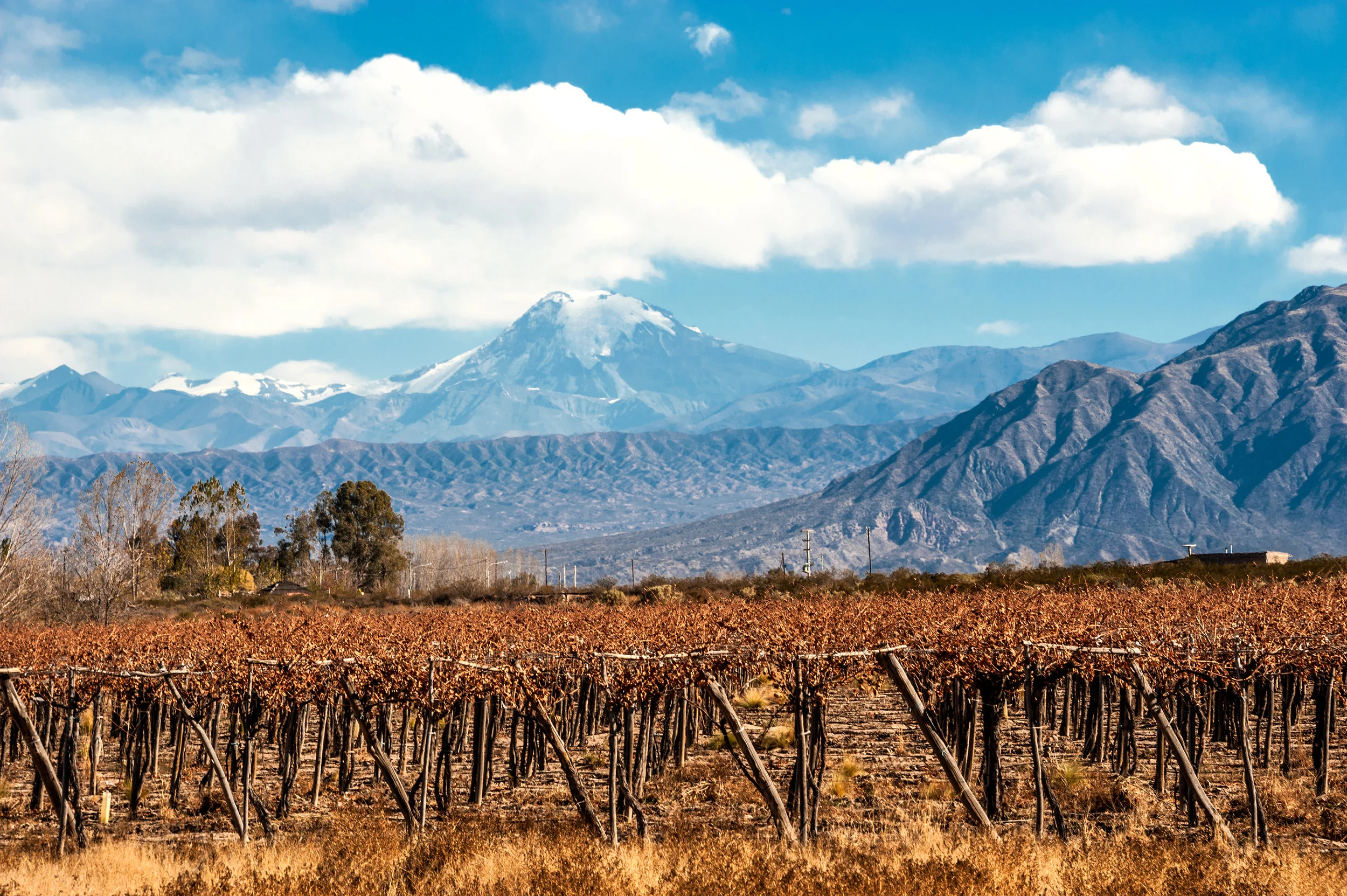 AS - Mendoza winery region.jpeg