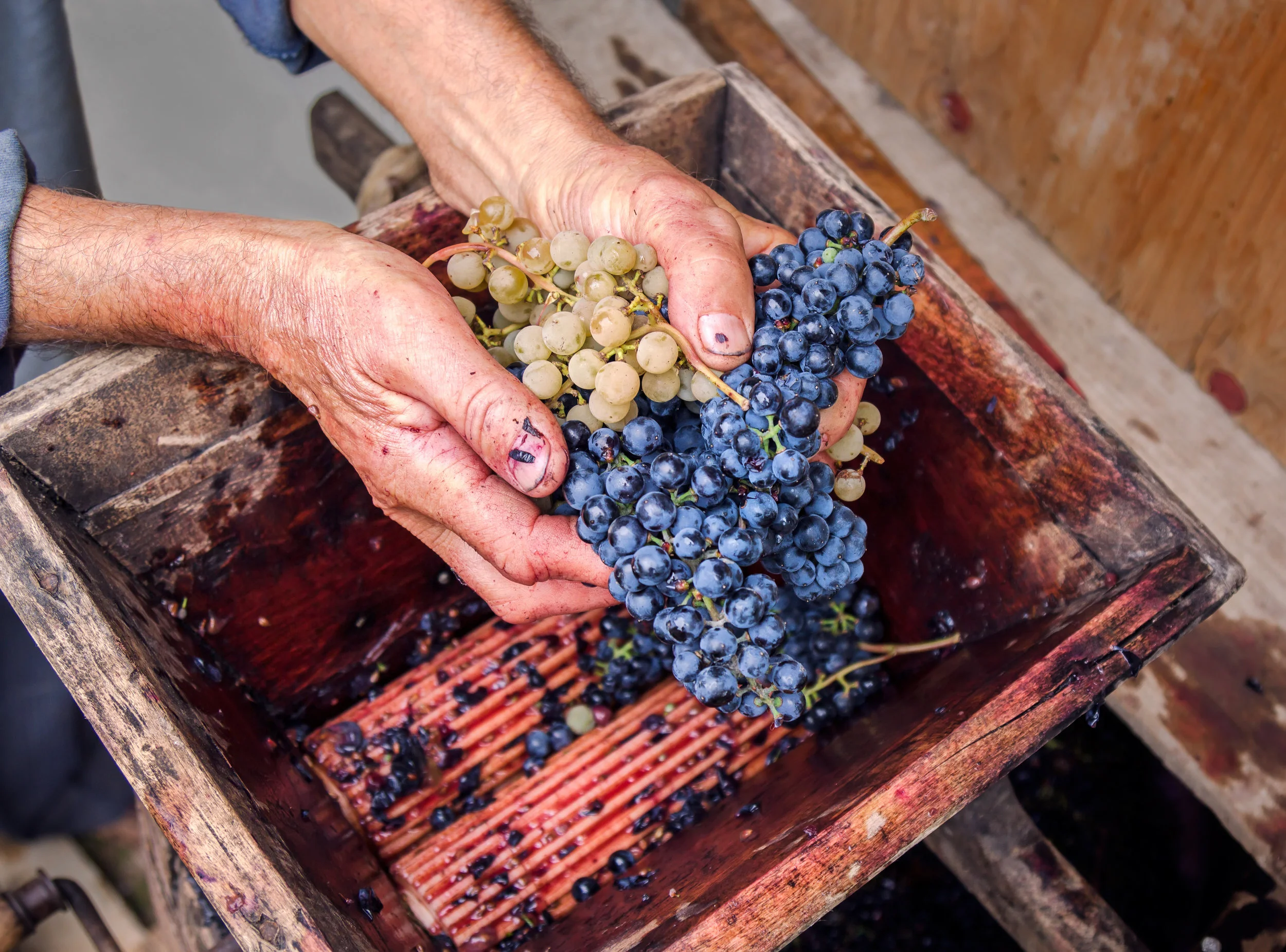 Image Source: domenicowinery.com