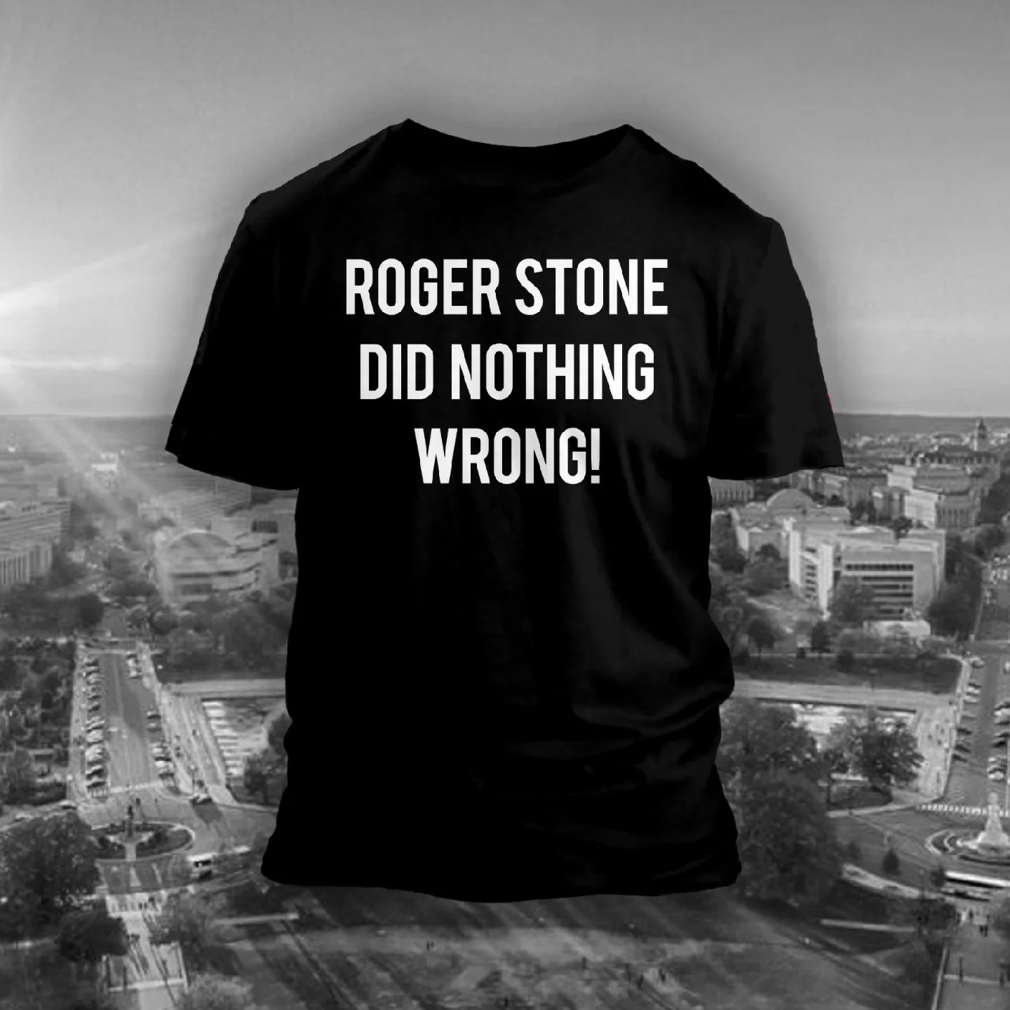 Roger Stone Did Nothong Wrong - Front.jpeg