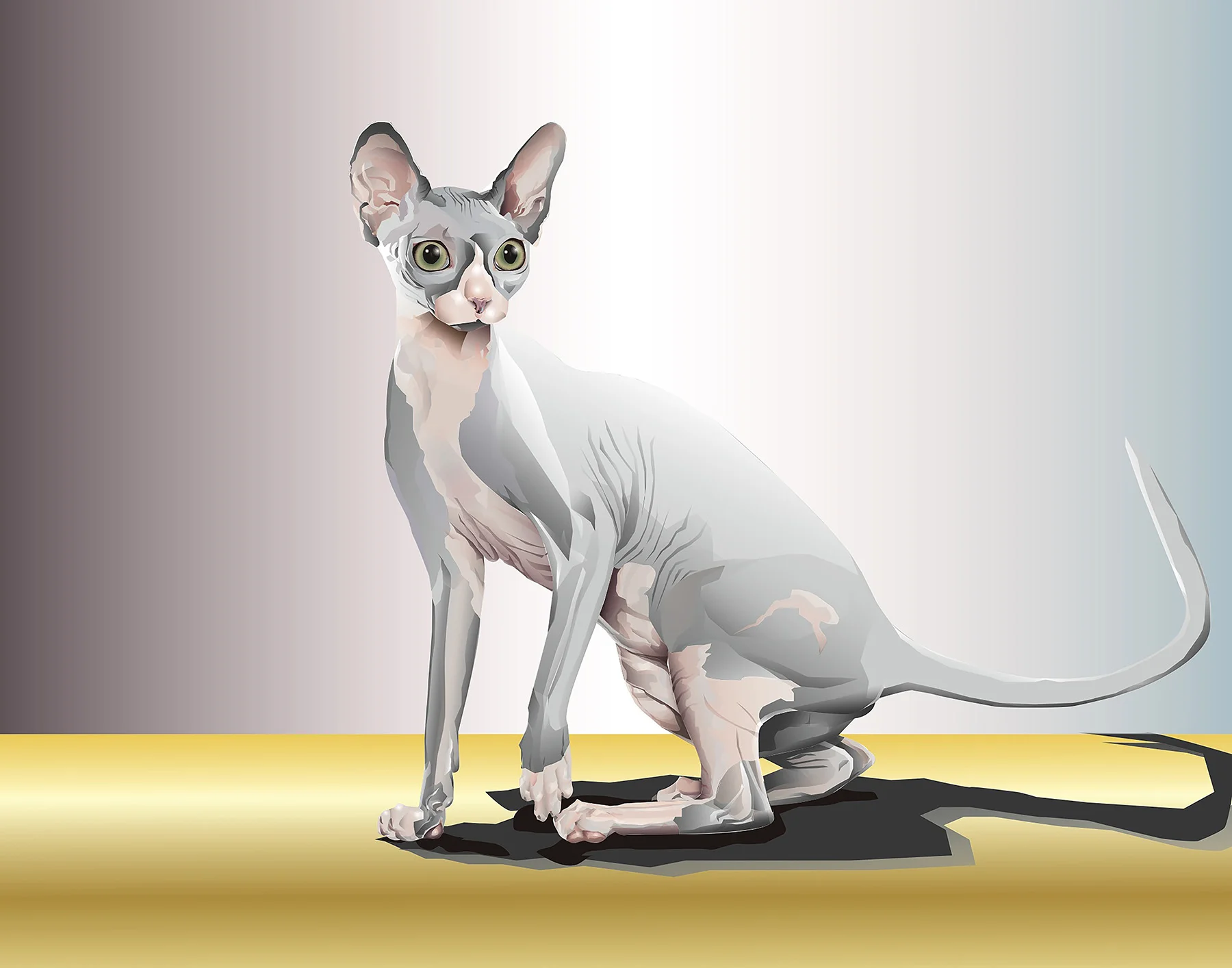 Assnt.2.Rachel.sphynxcat.jpg