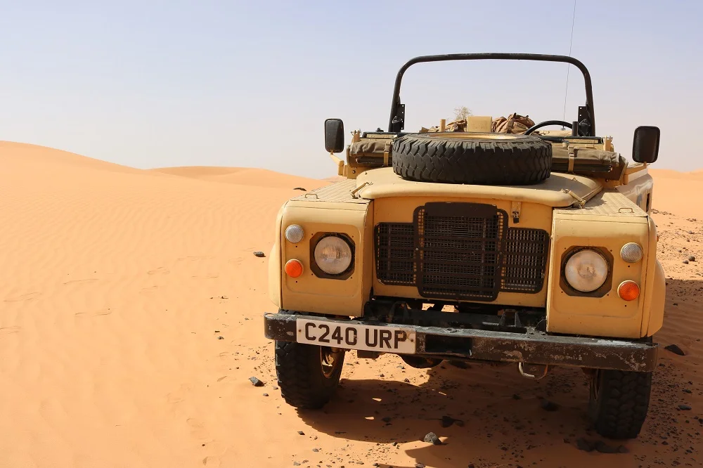 Tembo in Sahara