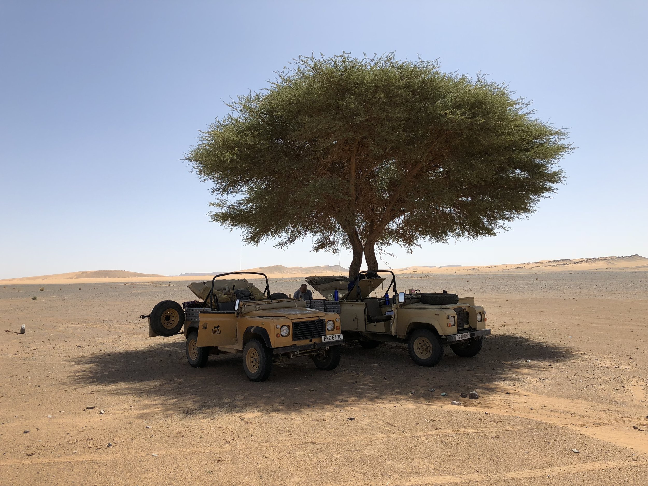 FInding some shade for lunch