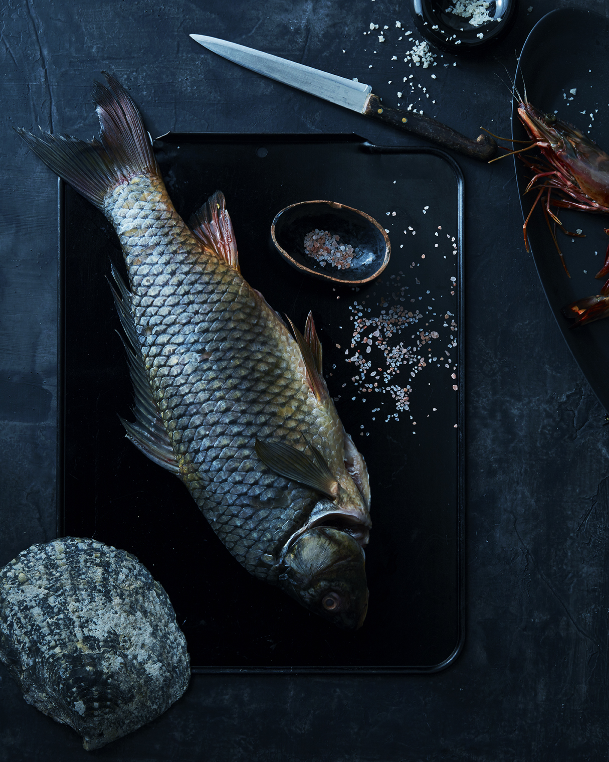 2016-1229_RANSOM_Salt-and-Fish-055.jpg