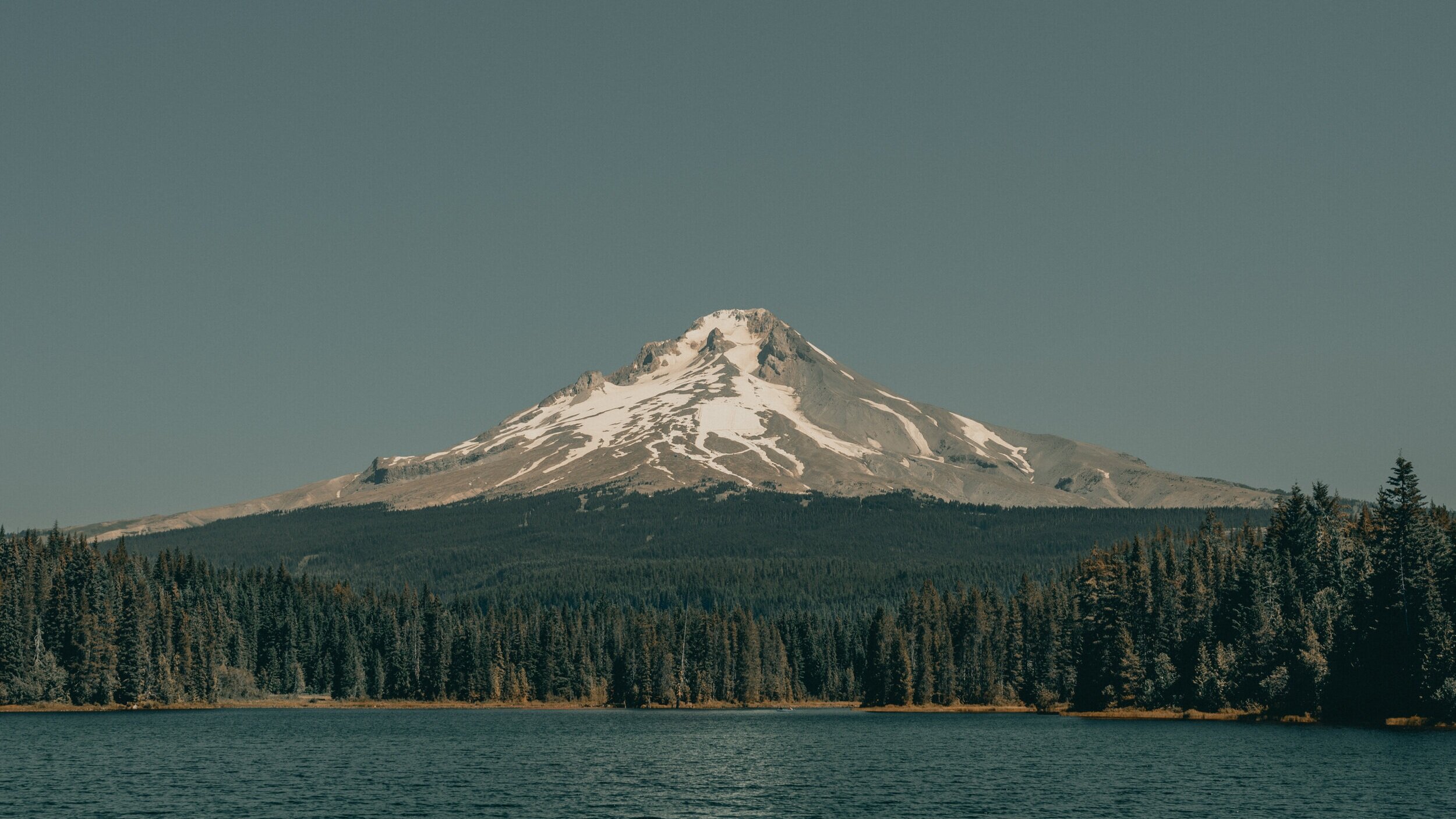 Southwest Allergy & Asthma Associates