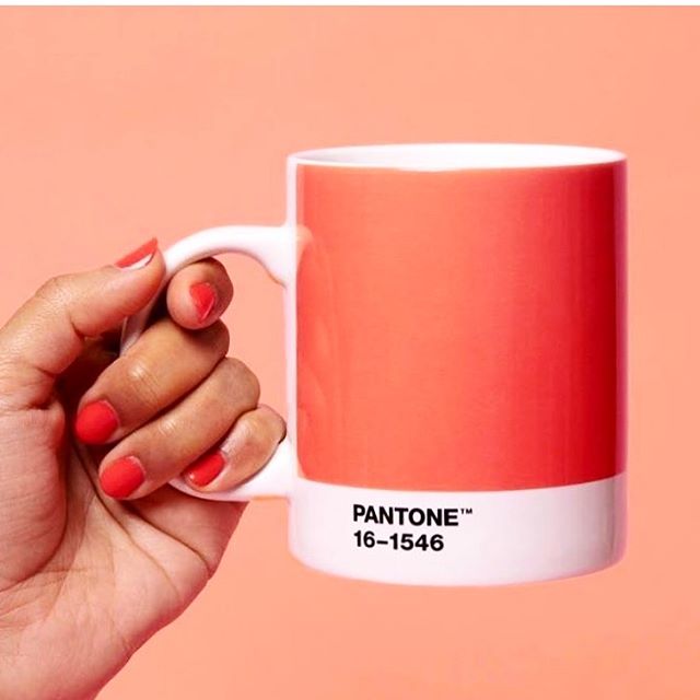 @pantone&rsquo;s color of the year, Living Coral, got us like 😍 #pantonecoloroftheyear #livingcoral