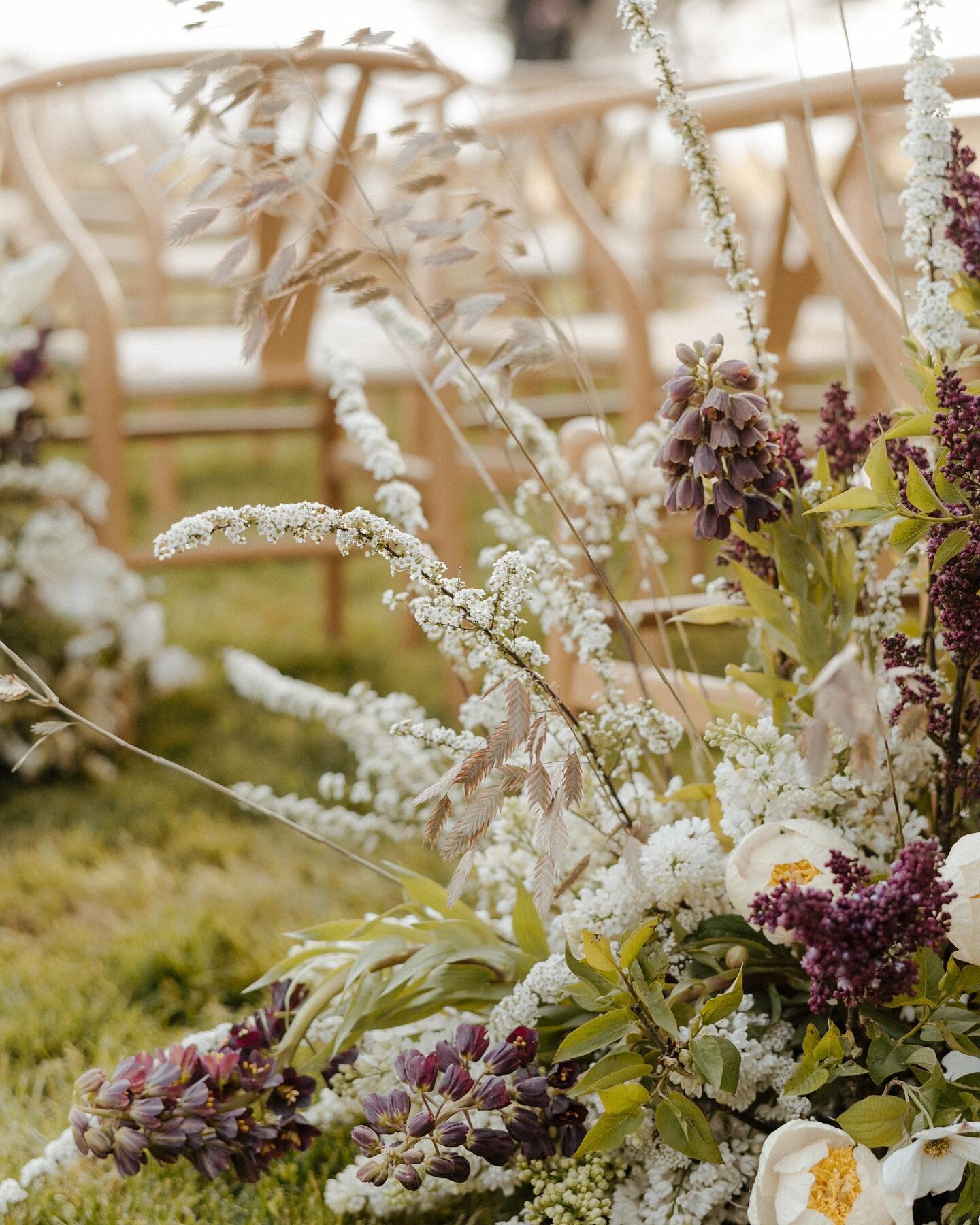 spring things on the magical northern coast