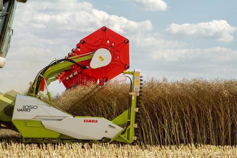 modern-claas-combine-harvester-header-cutting-crops-oilseed-rape-working-field-close-up-57587945.jpg