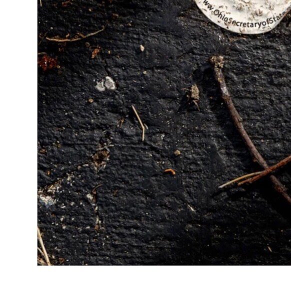 Today I walked the empty lot behind my home where I made this image for Wired magazine in 2020. That story’s subtitle declared, “This fall, thousands will show up to vote only to find out they’ve been purged. Lots of activists&mdash