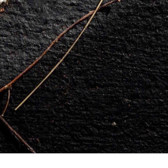 Today I walked the empty lot behind my home where I made this image for Wired magazine in 2020. That story’s subtitle declared, “This fall, thousands will show up to vote only to find out they’ve been purged. Lots of activists&mdash