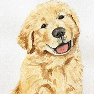 watercolor-dog.jpg