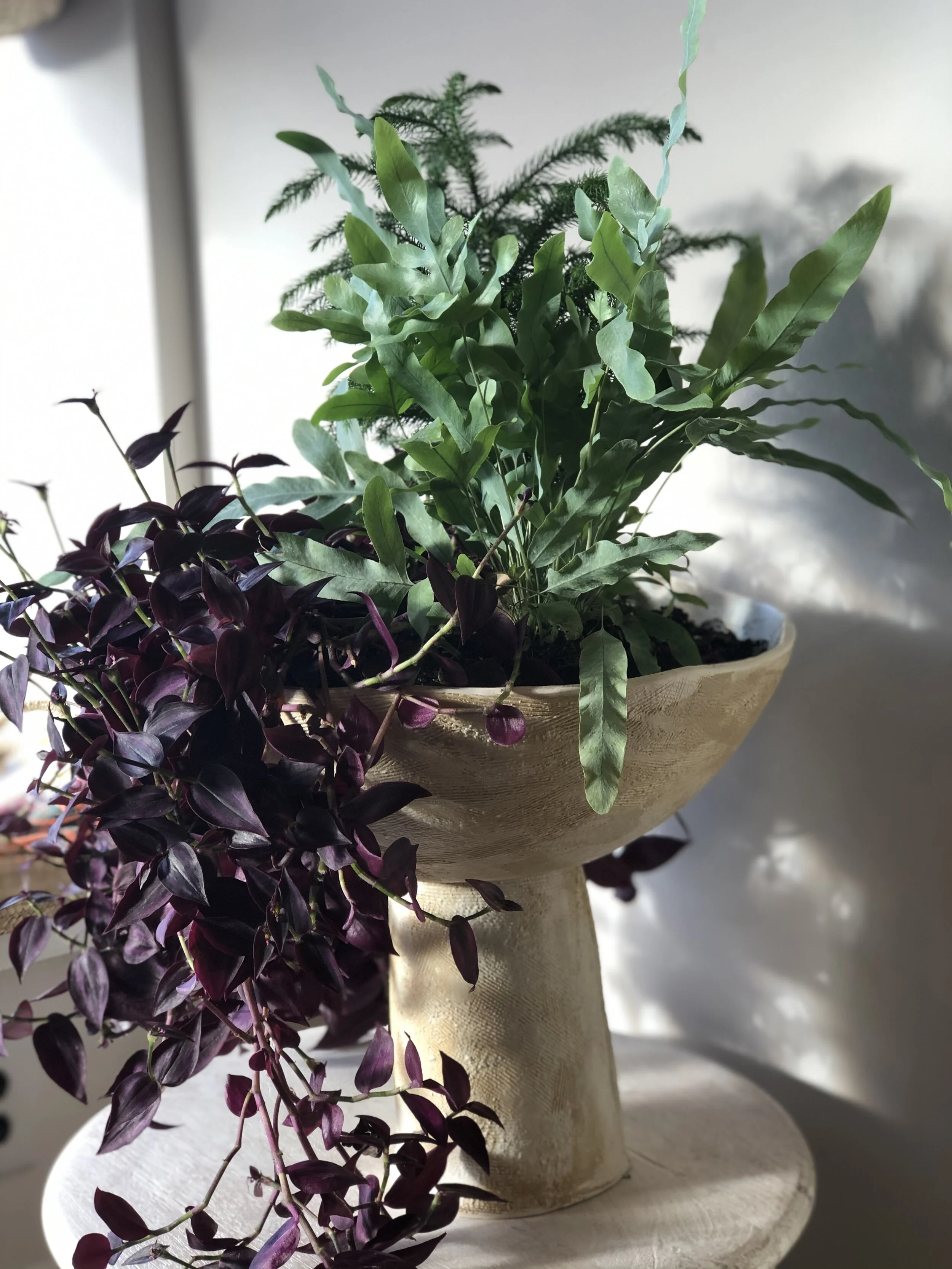 Porcelain Pedestal planter - 51E54A91-C7C3-4525-9FCF-CCA1C7A8BA60.jpeg