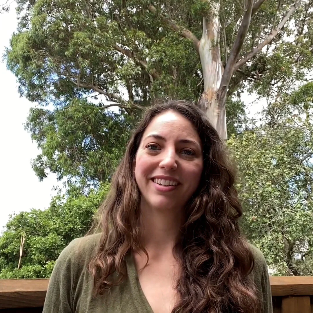 A Place for Trees: Toward Arboreal Rights