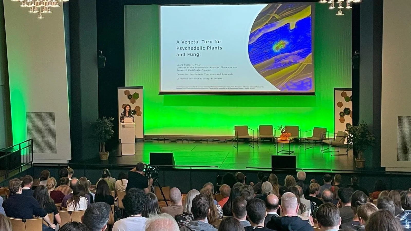 A Vegetal Turn for Psychedelic Plants and Fungi