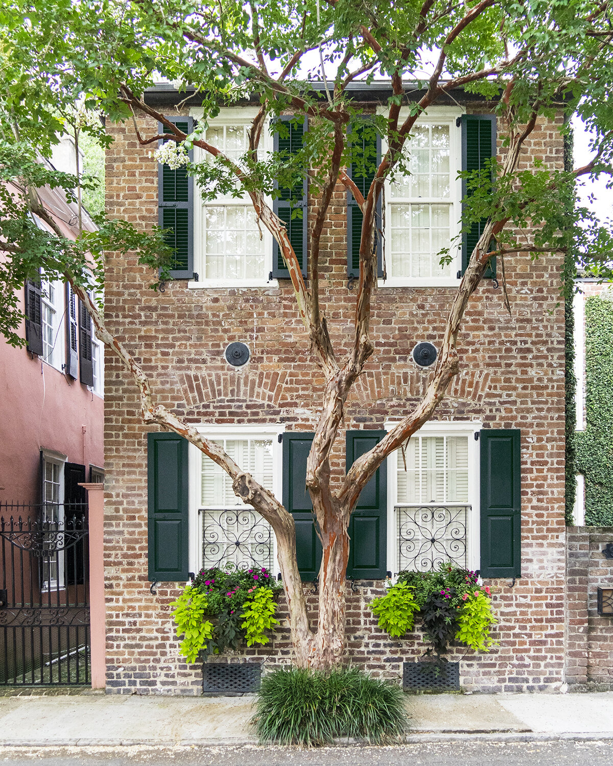 Blue Row Charleston House on 18