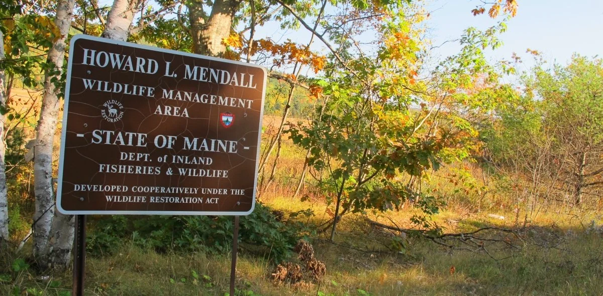 Plan to clean Penobscot River gets universal praise as end of 20-year battle nears