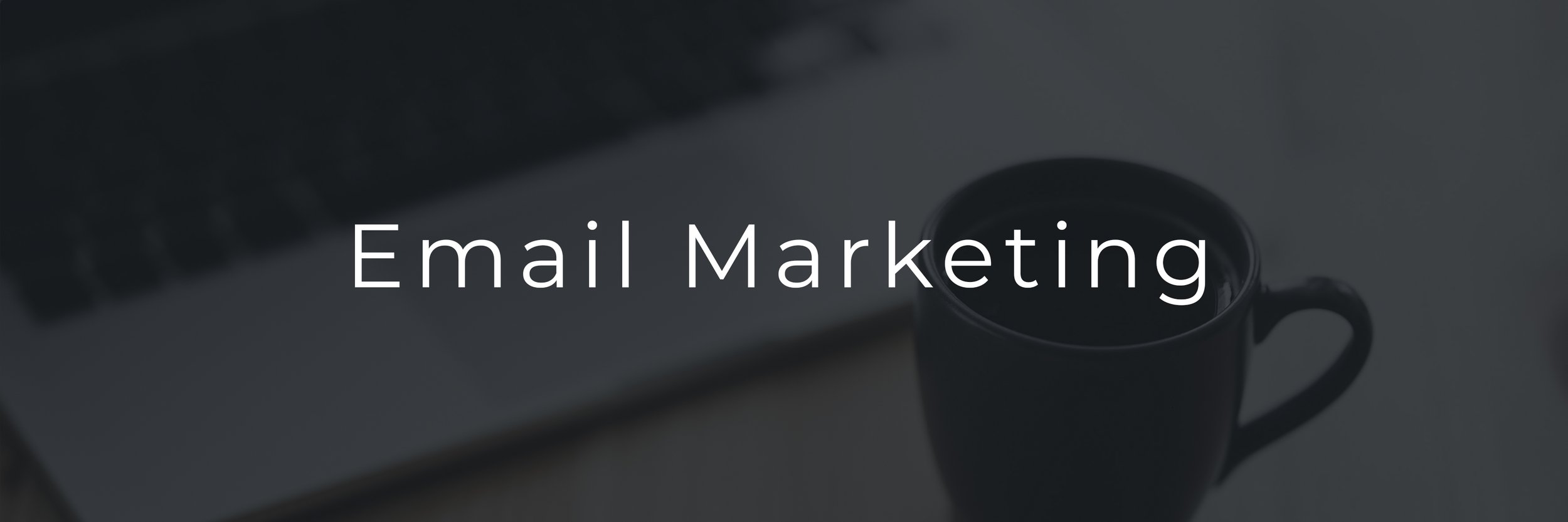 email marketing consultant