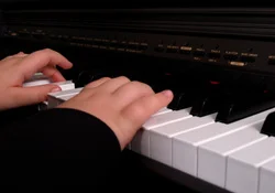 4138545.jpg