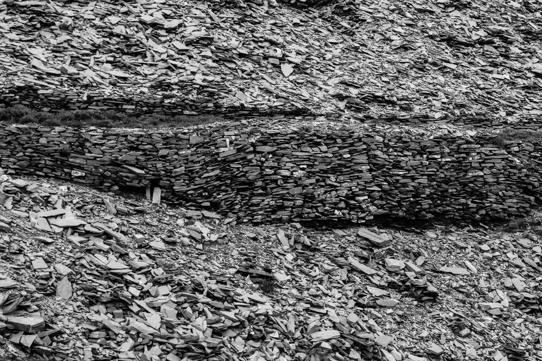 wider textures (4 of 17).jpg