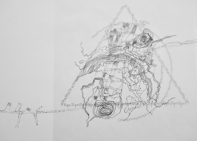 more complex map.jpg
