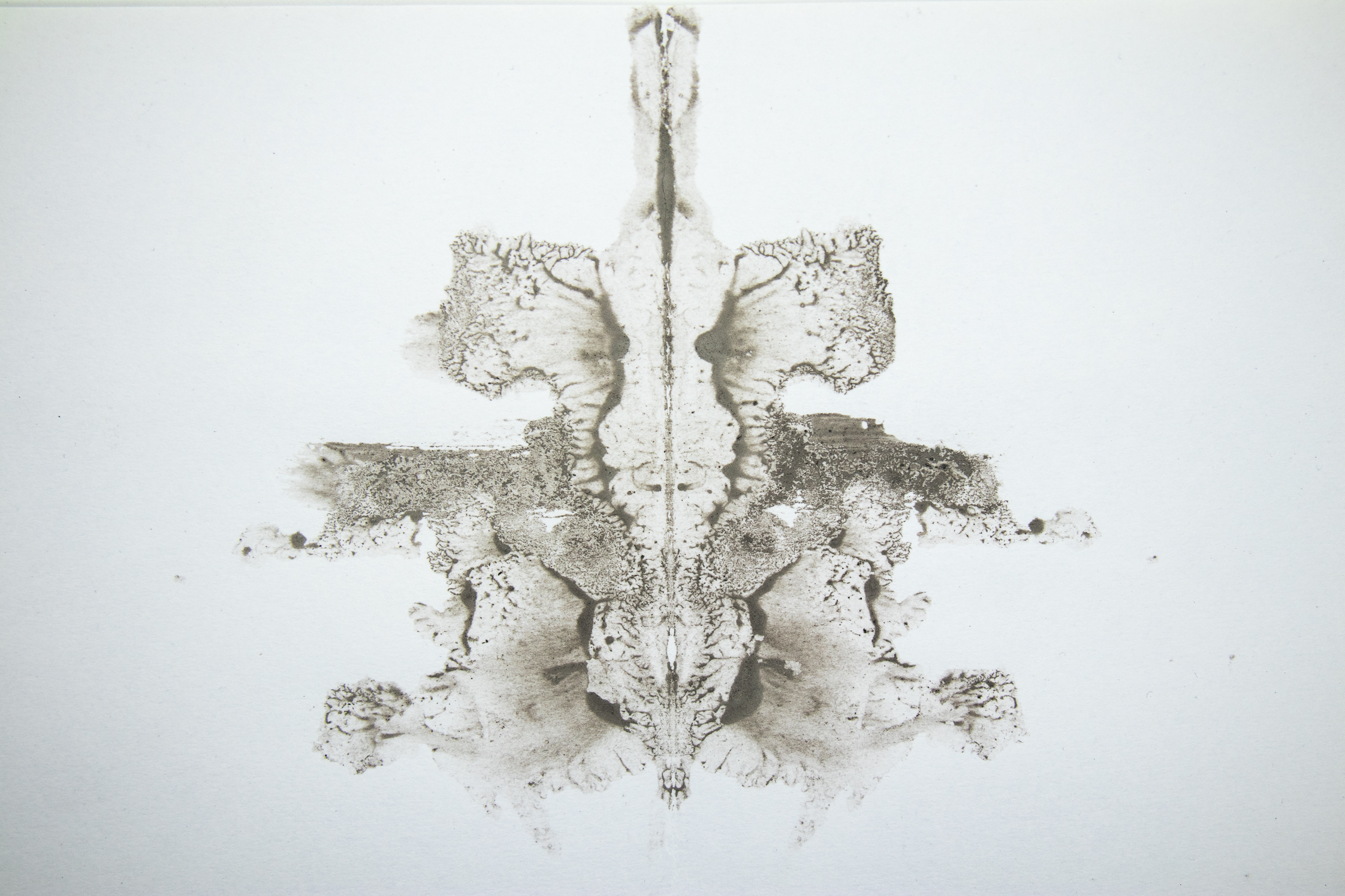 Rorschach lightbox uncleaned (19 of 66).jpg