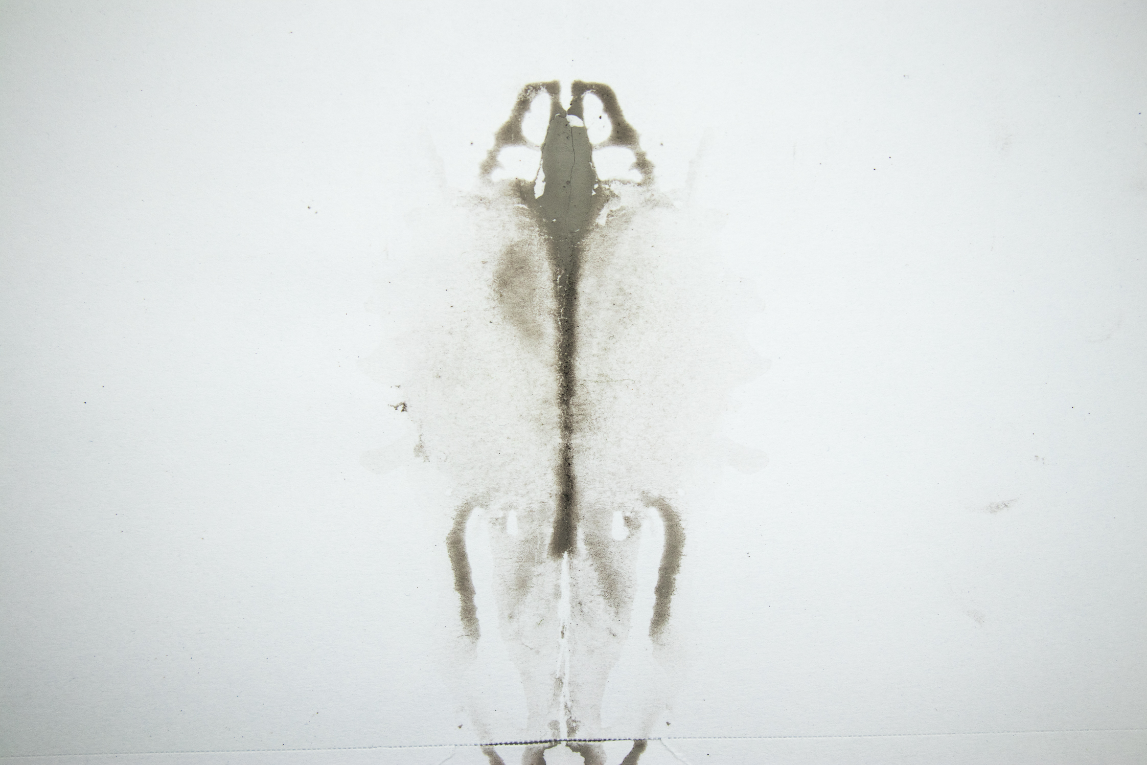 Rorschach lightbox uncleaned (46 of 66).jpg
