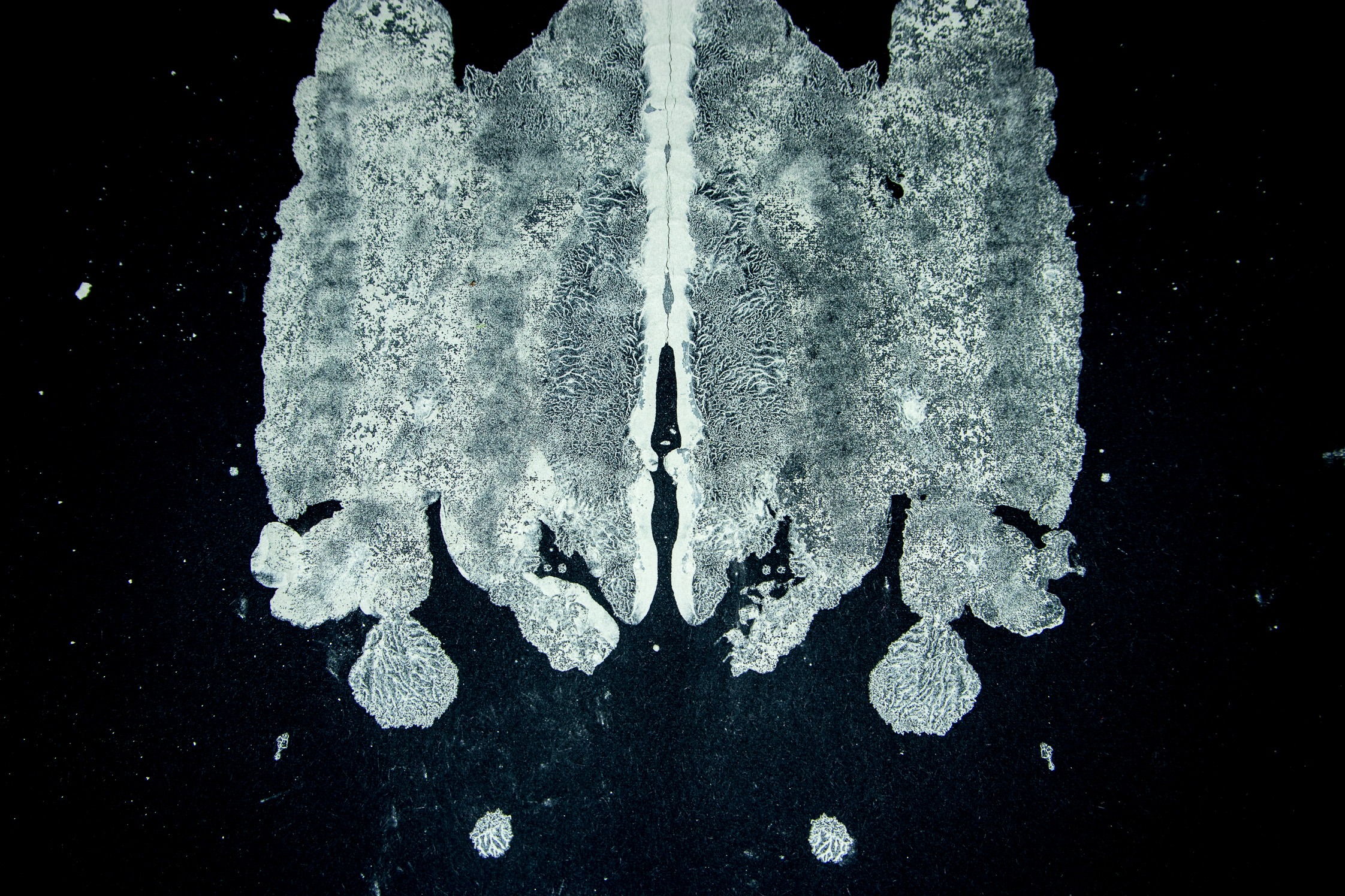 Rorschach lightbox uncleaned (66 of 66).jpg