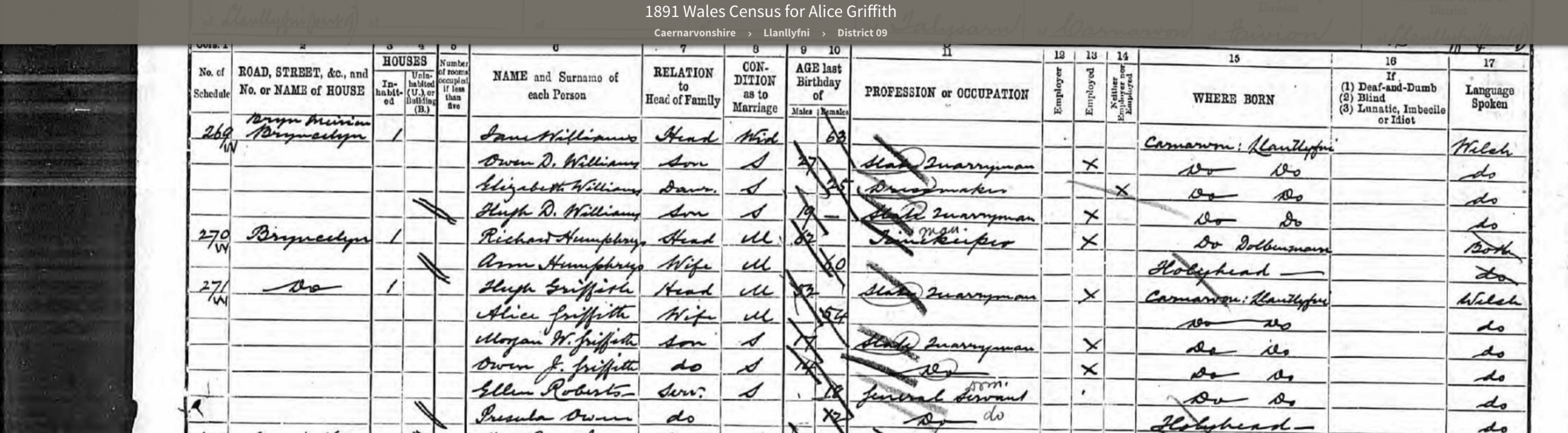 Census+1891+Alice+Griffith.jpg