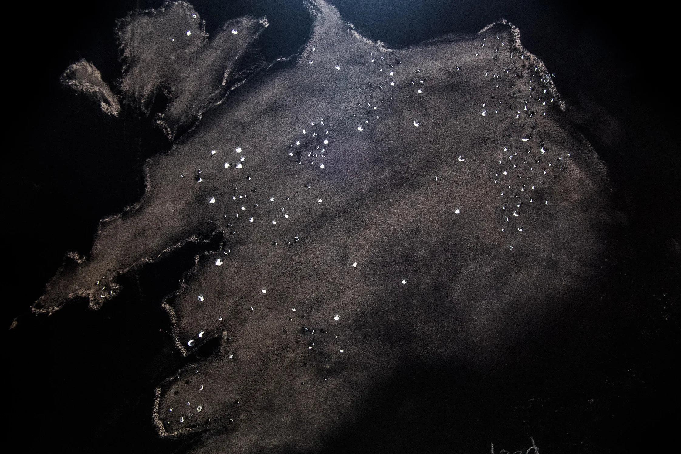 Plwm, Lead, detail of installation for Storiel, 2019