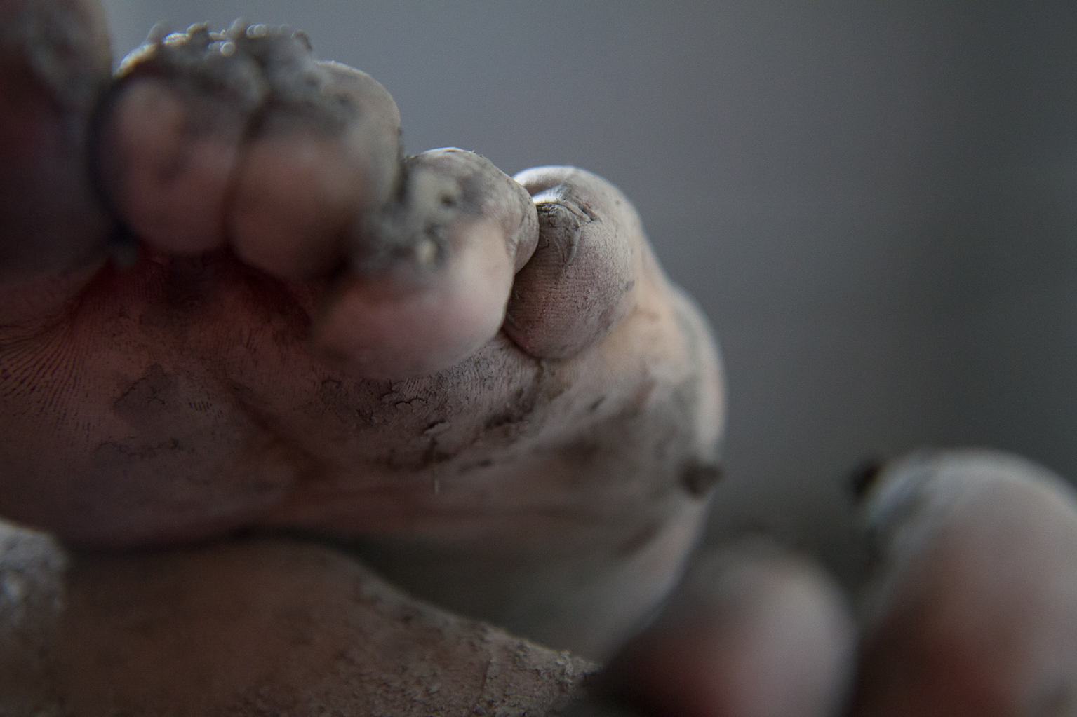 Ysglafaethus / Rapacious Film still, 2019