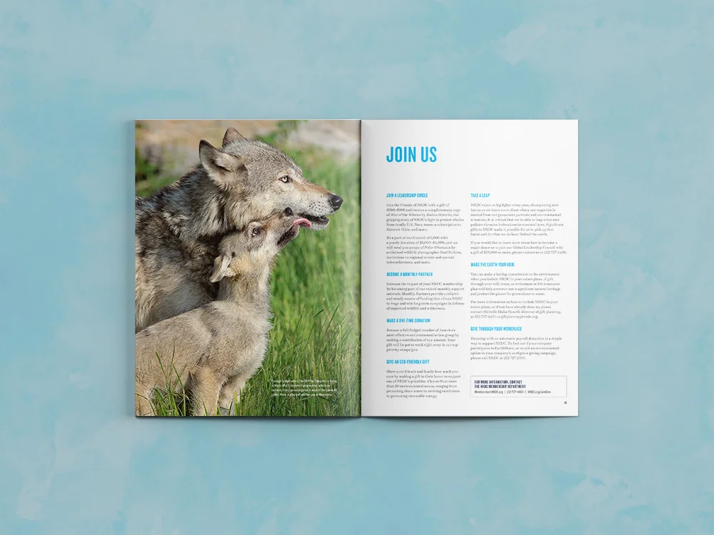 NRDC-annual-report-spread-6.jpg