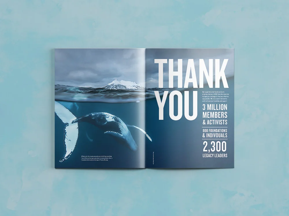 NRDC-annual-report-spread-1.jpg