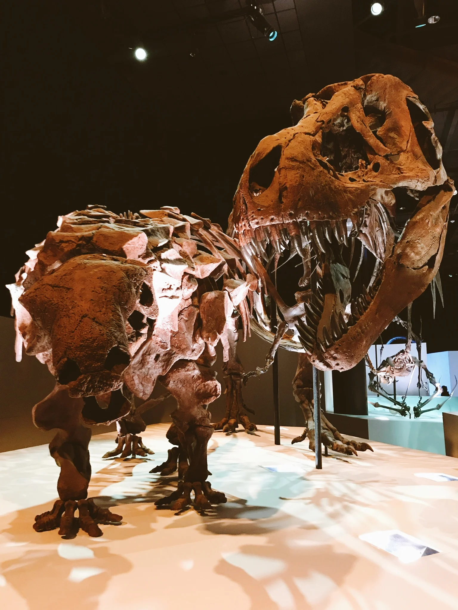 The Museum