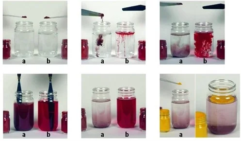 a. Pigment - insoluble b. Dyes - soluble