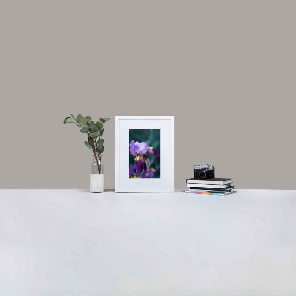 Purple-Iris-Dew_mockup_Lifestyle-1_Lifestyle_30x40-cm_White.png