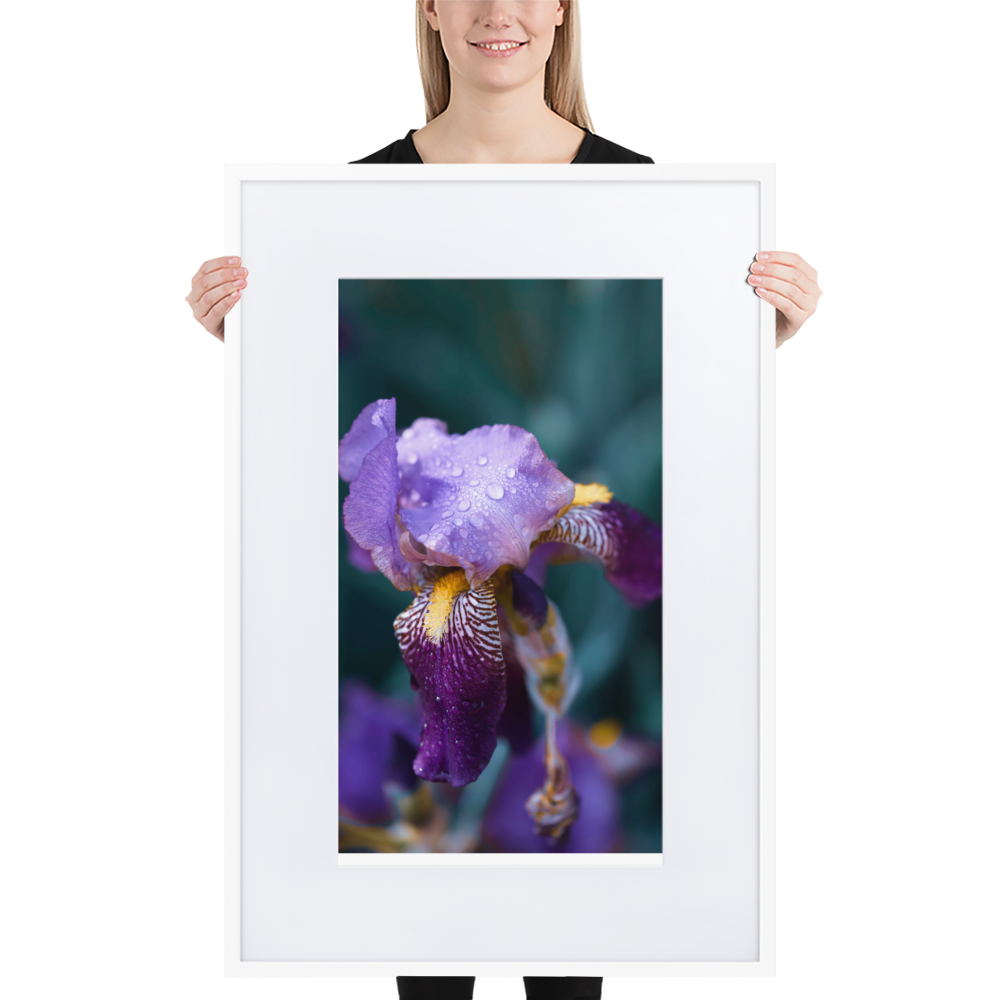 Purple-Iris-Dew_mockup_Person_Person_61x91-cm_White.png