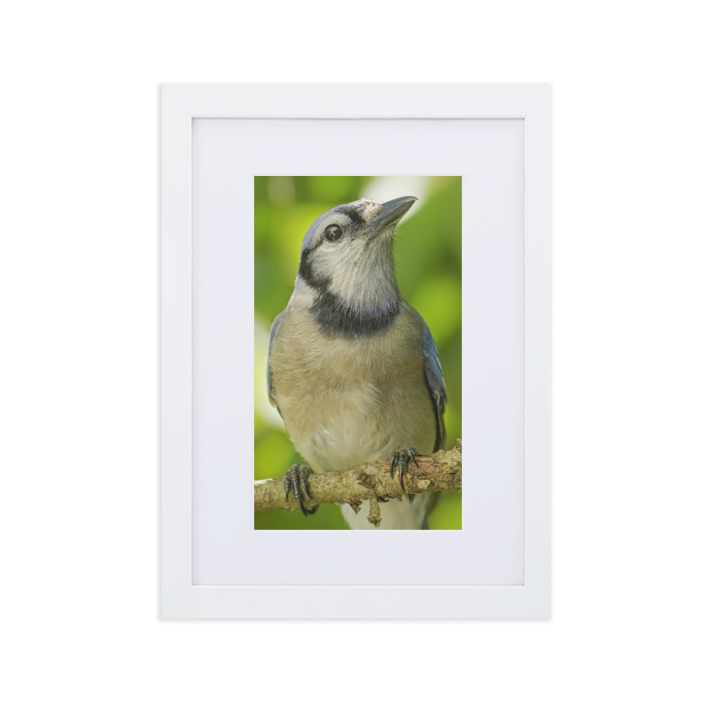 IMG_20190611_071827_640_mockup_Transparent_Transparent_21x30-cm_White.png