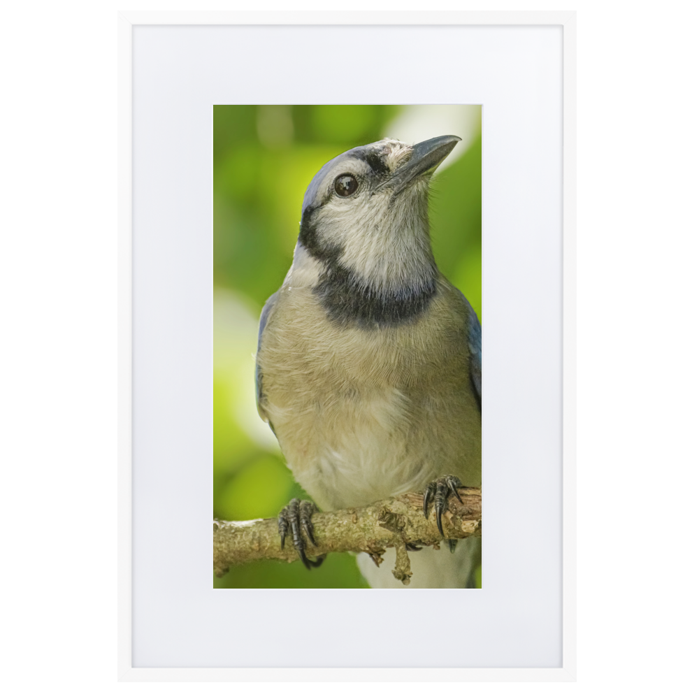 IMG_20190611_071827_640_mockup_Transparent_Transparent_61x91-cm_White.png
