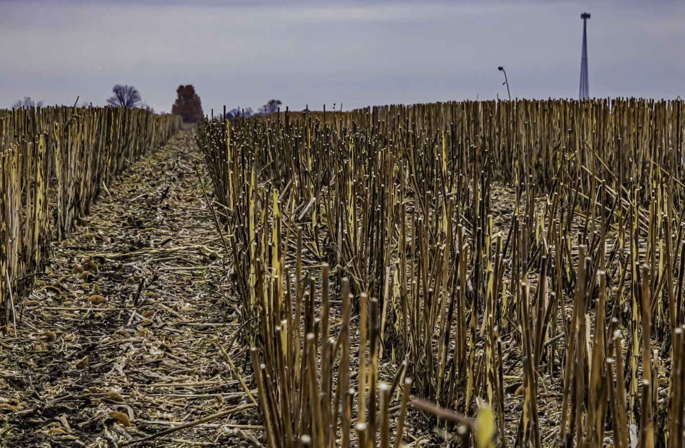 Photos of the Farm — Clarkson Farm Cerro Gordo Il USA