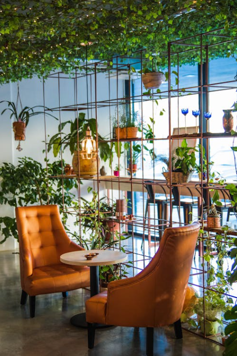 plants for apt.png