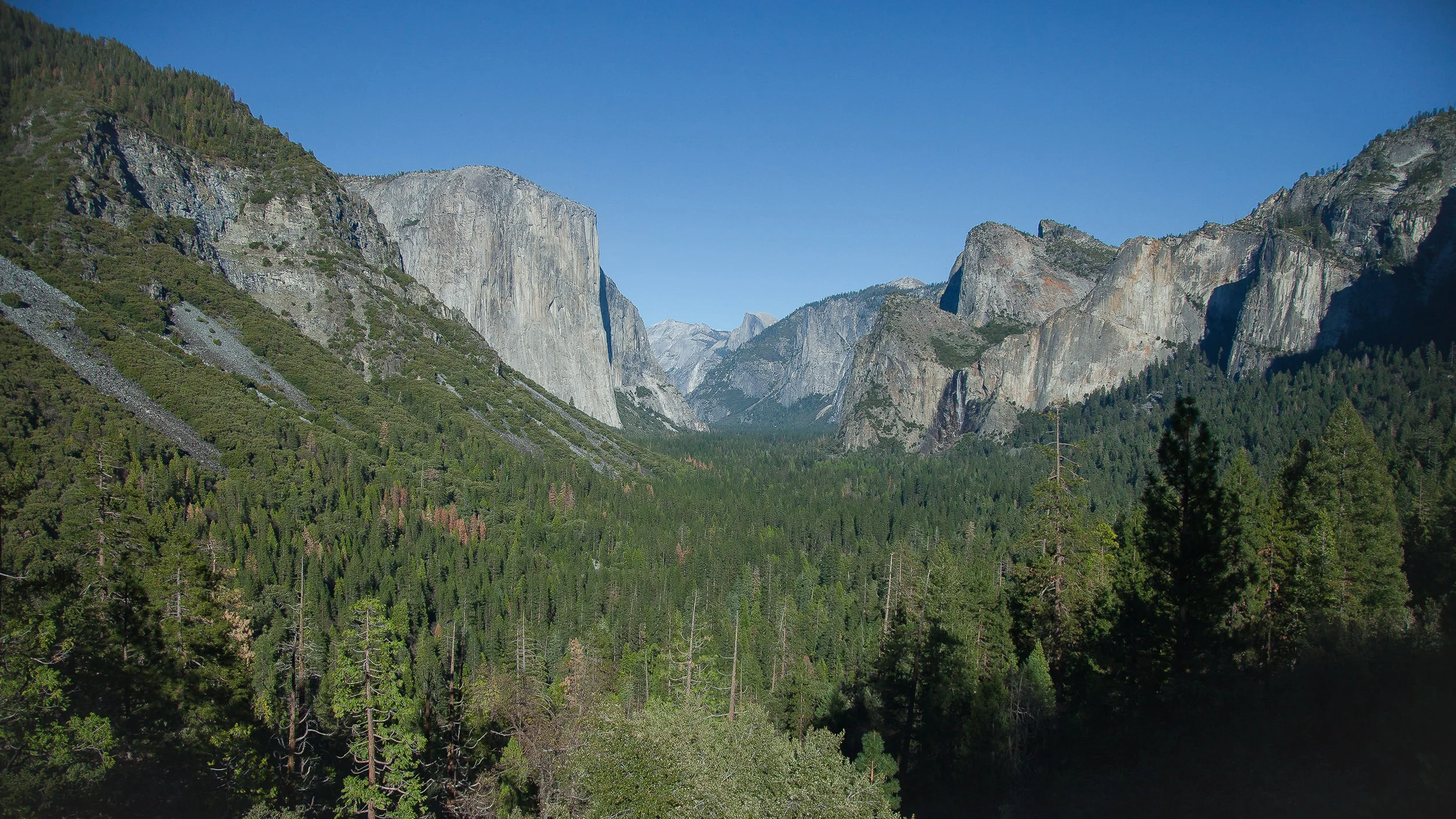 landscape-6129.jpg