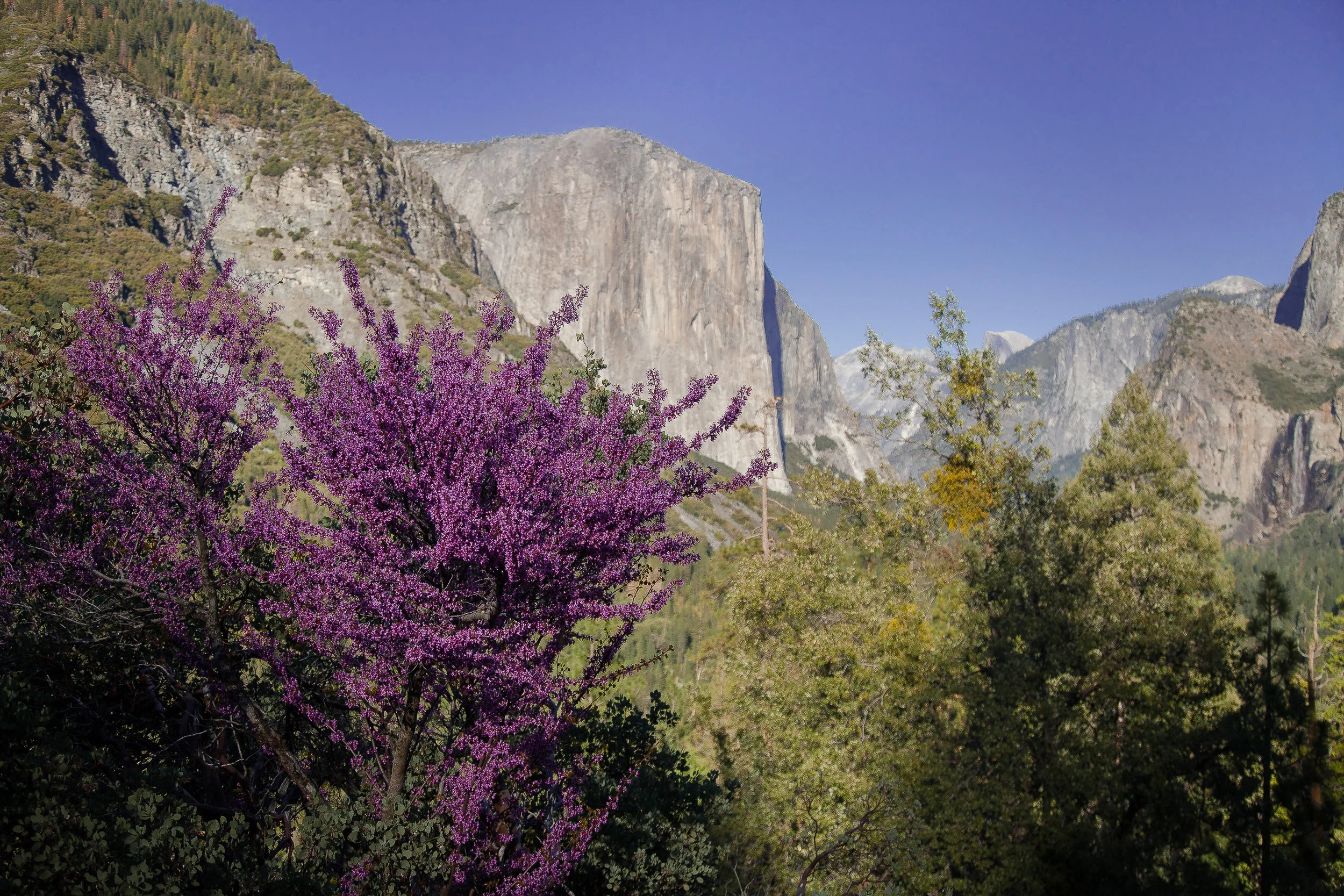 landscape-6145.jpg