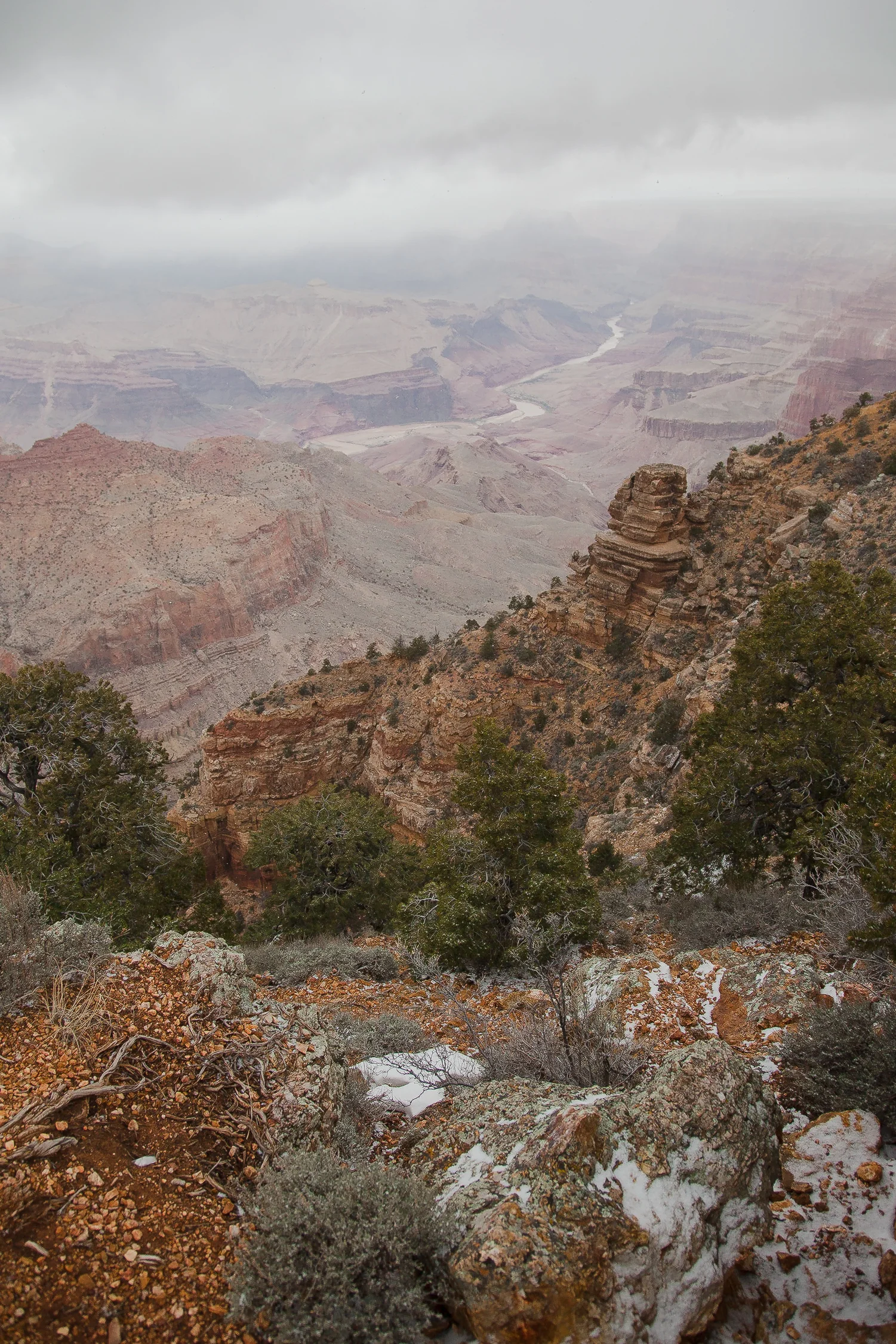 landscape-9445.jpg