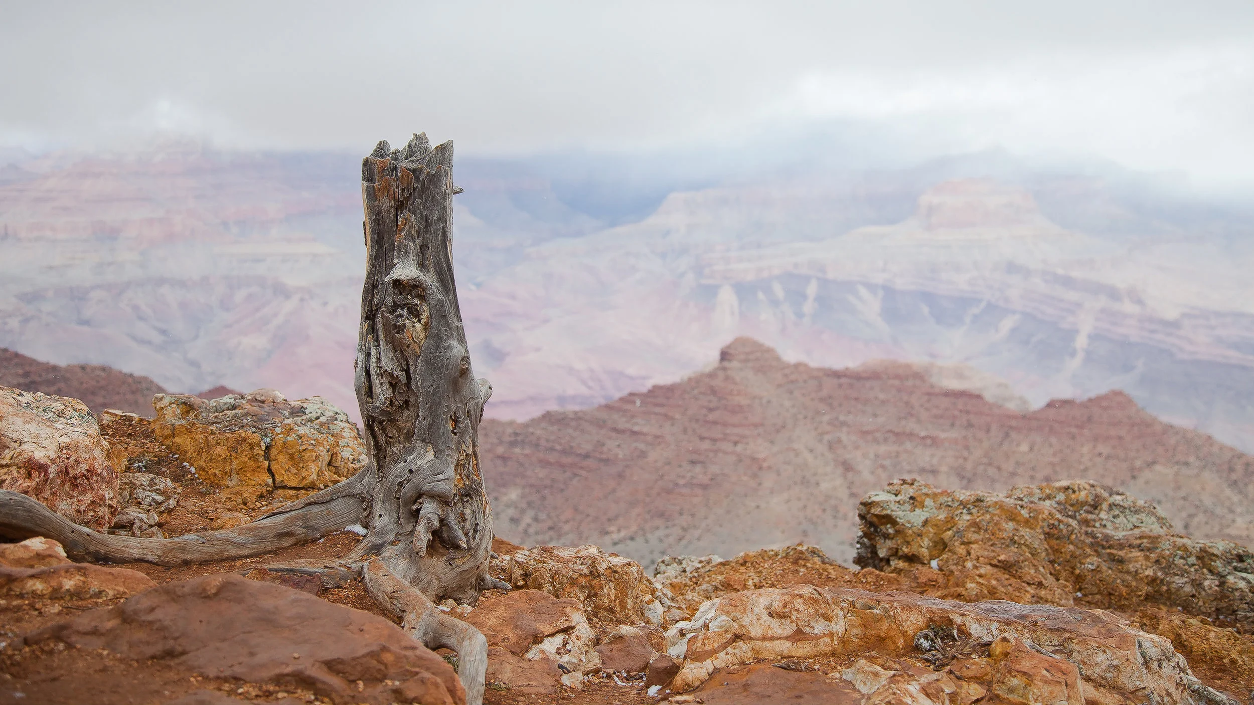 landscape-9473.jpg