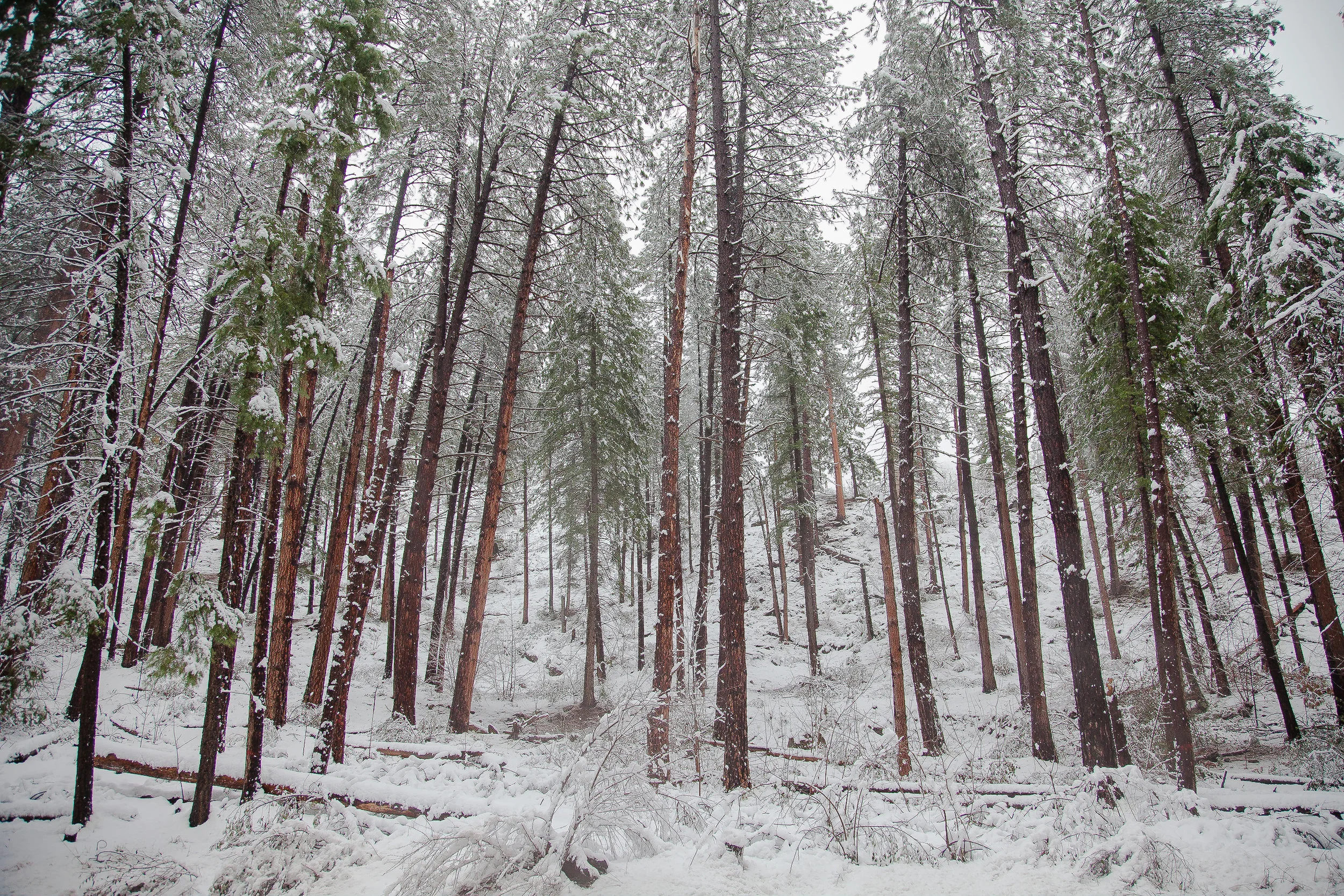 landscape-9572.jpg